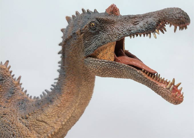 PNSO Spinosaurus - Essien - New Color - Close Up Head View